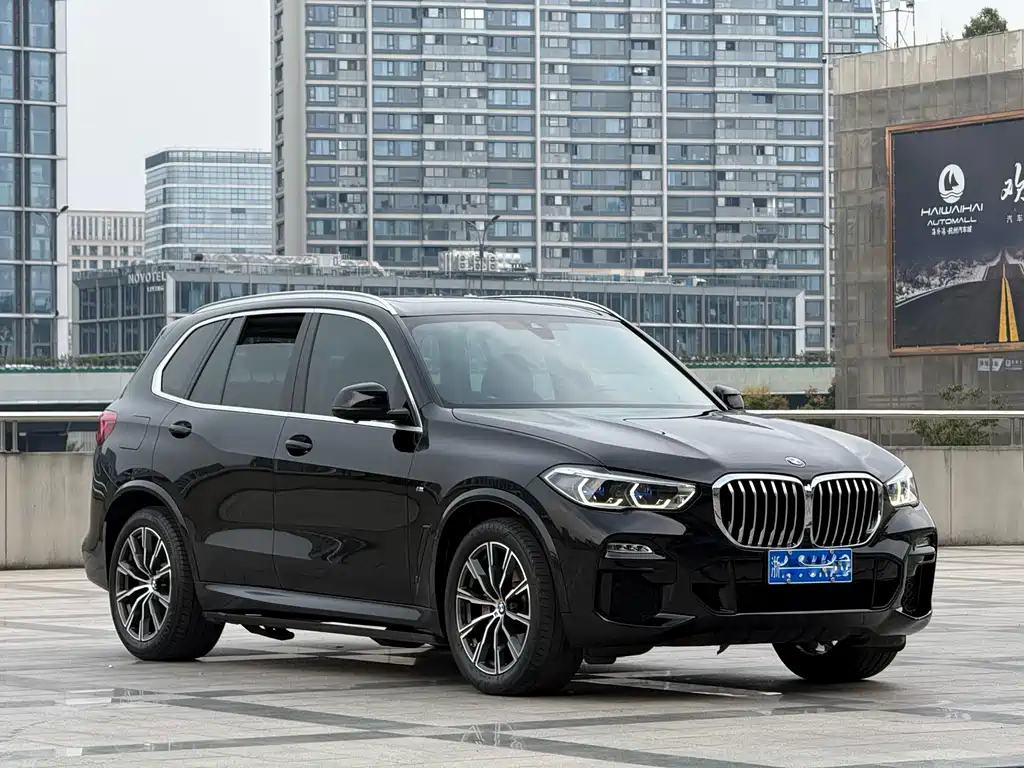 BMW X5 (Import) — миниатюра 3