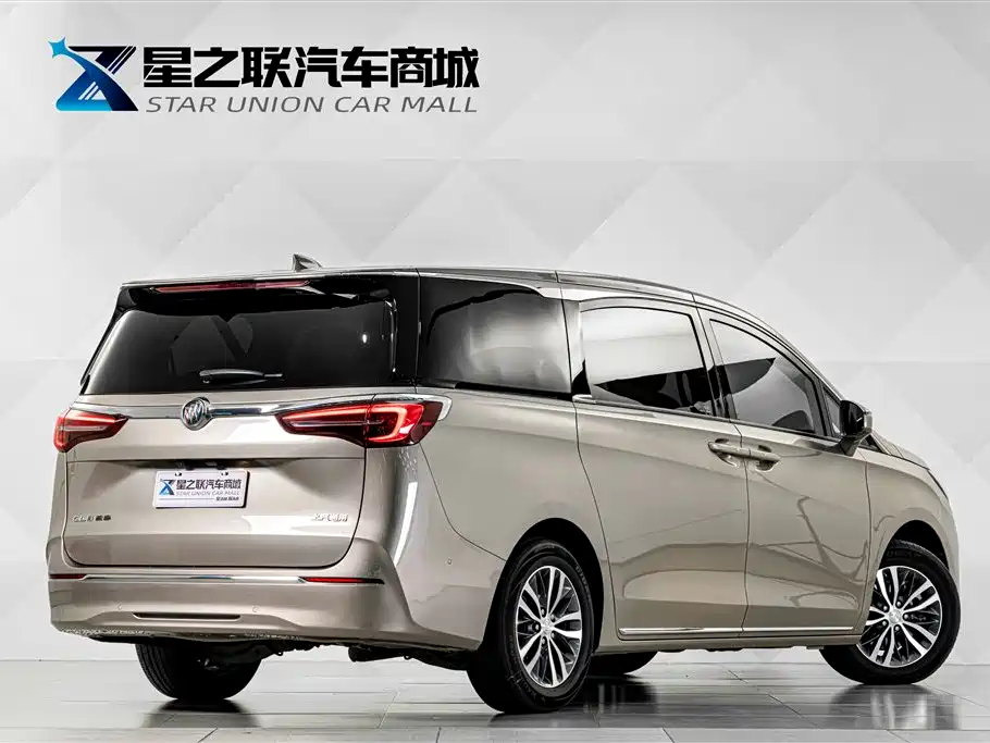 Buick GL8 — миниатюра 6