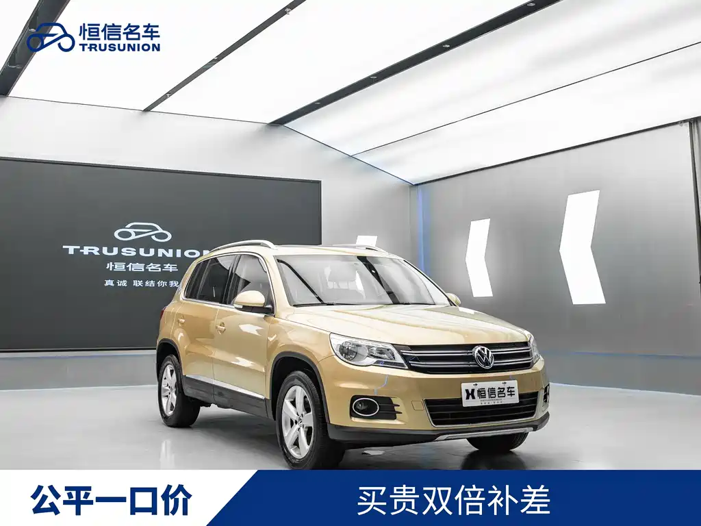 Volkswagen Tiguan 2013