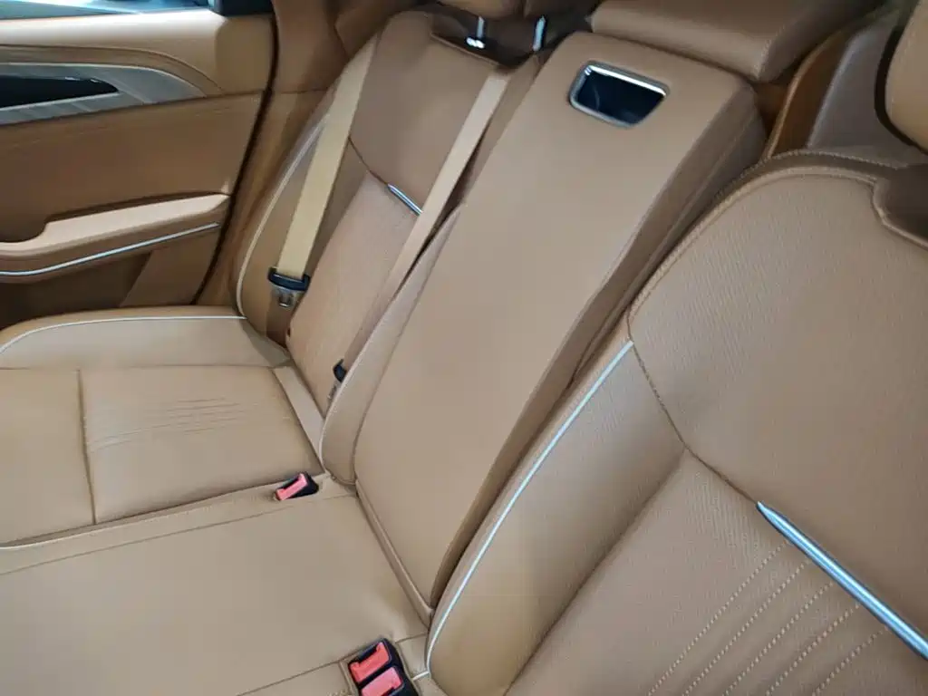 Hongqi Hongqi H9 — миниатюра 17