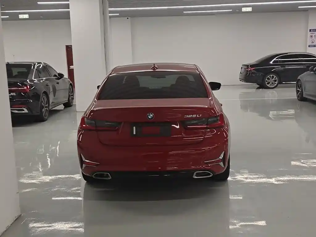 BMW 3 Series 3 2020 325Li