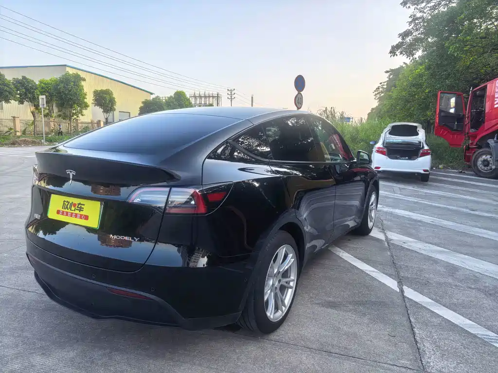 Tesla Model Y — миниатюра 5