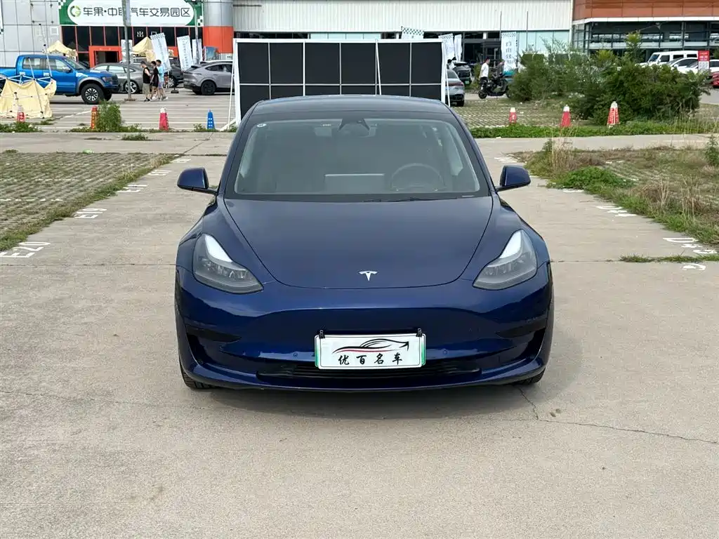 Tesla Model 3 2021 3D6