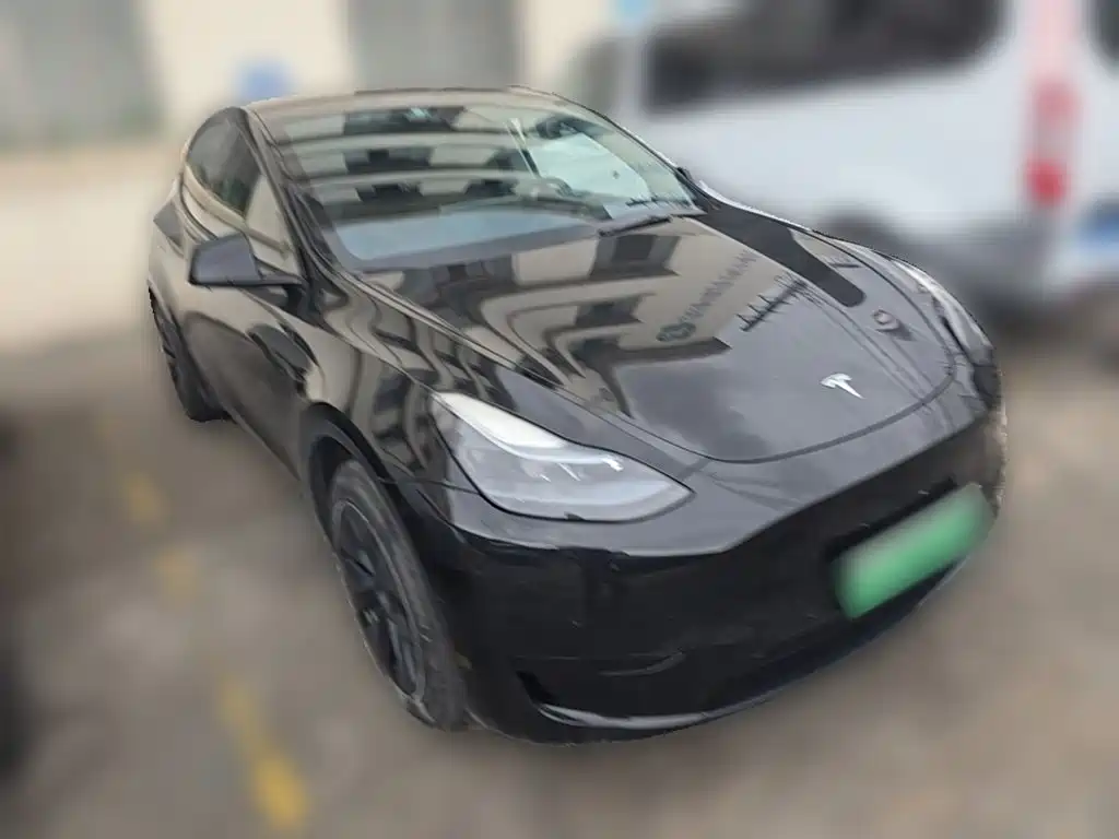 Tesla Model Y — миниатюра 24