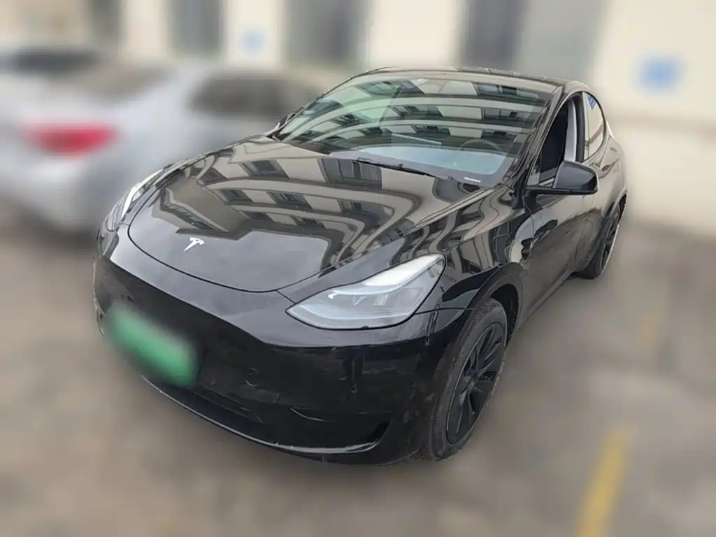 Tesla Model Y — миниатюра 2