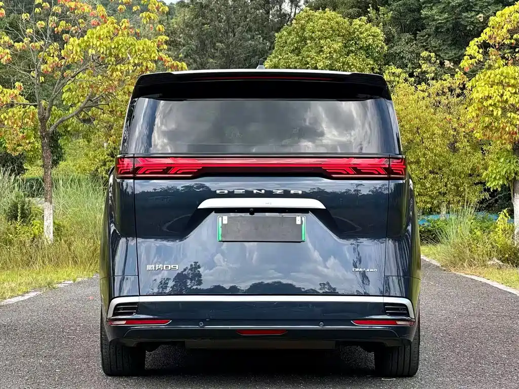 Denza Denza D9 — миниатюра 5