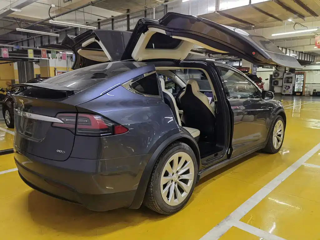 Tesla Model X — миниатюра 3