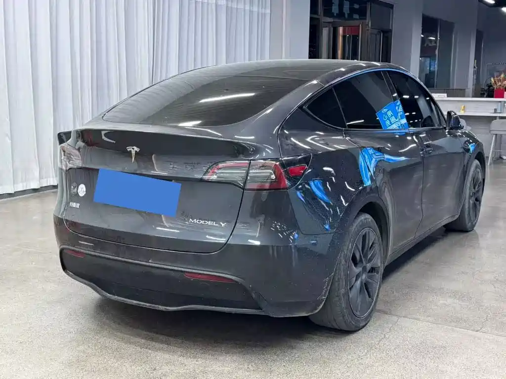 Tesla Model Y — миниатюра 9
