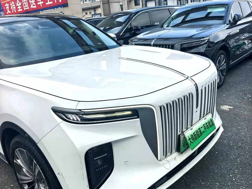 Hongqi Hongqi E-HS9 — миниатюра 6
