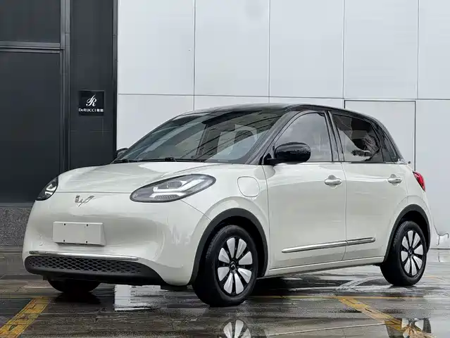 2024 Wuling Motors Binguo