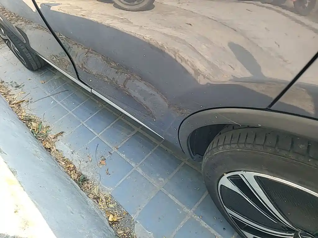 BYD Tang New Energy — миниатюра 22