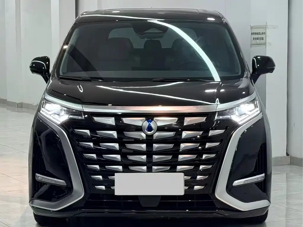 Denza Denza D9 — миниатюра 2