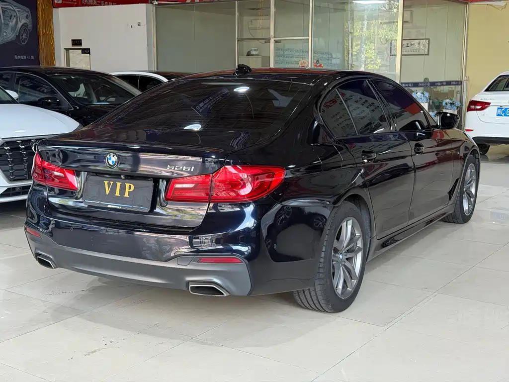 BMW 5 Series (Import) — миниатюра 7
