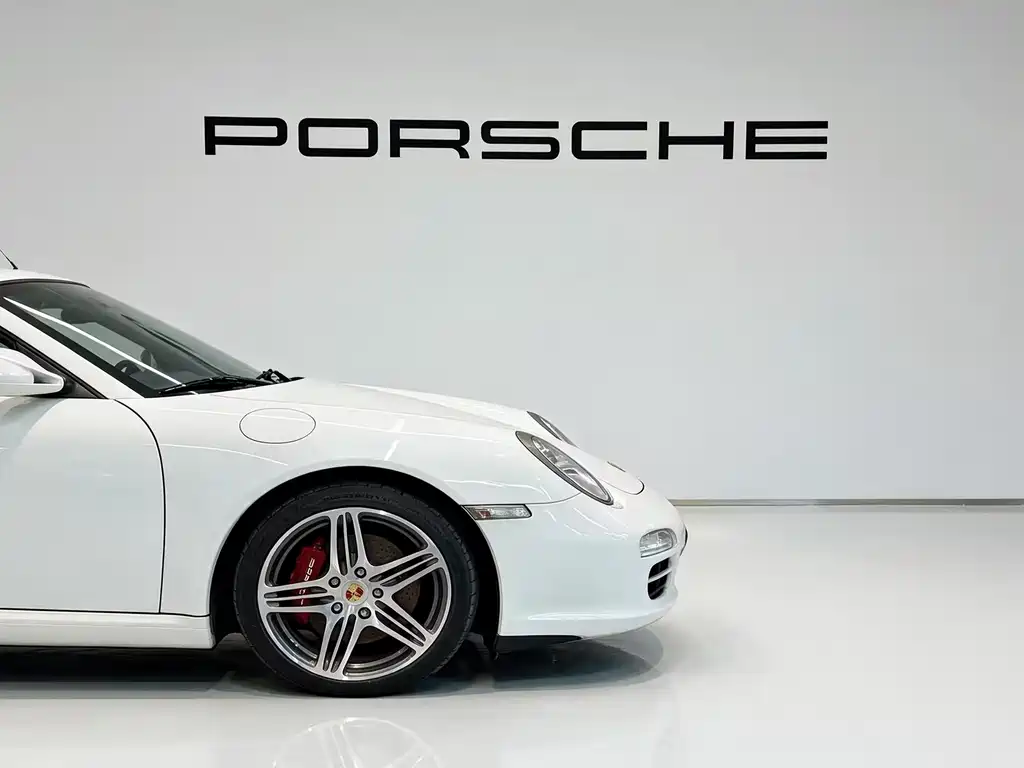 Porsche 911 — миниатюра 9