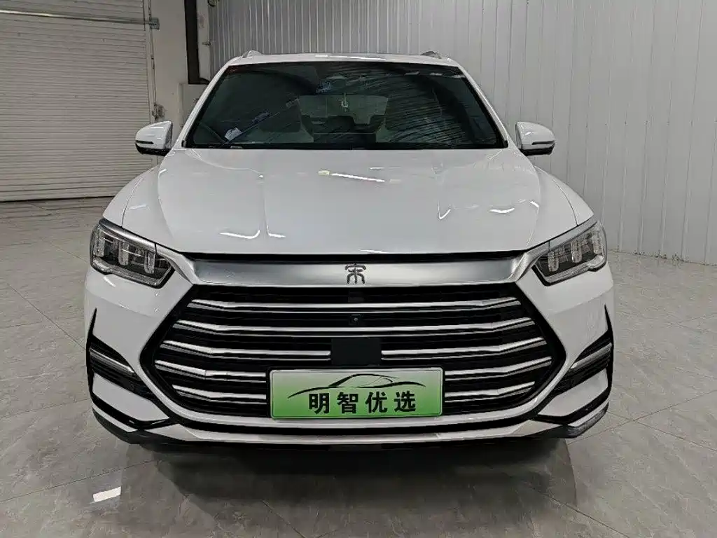 BYD Pro New Energy — миниатюра 2