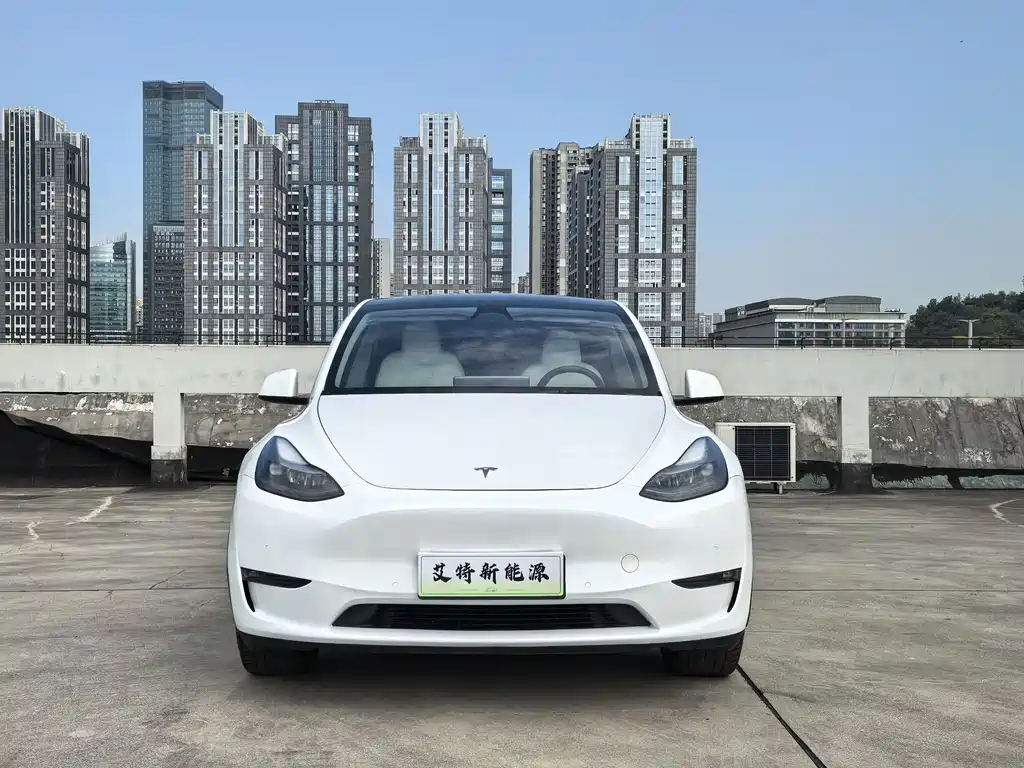 Tesla Model Y — миниатюра 2