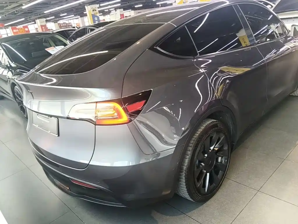 Tesla Model Y — миниатюра 6