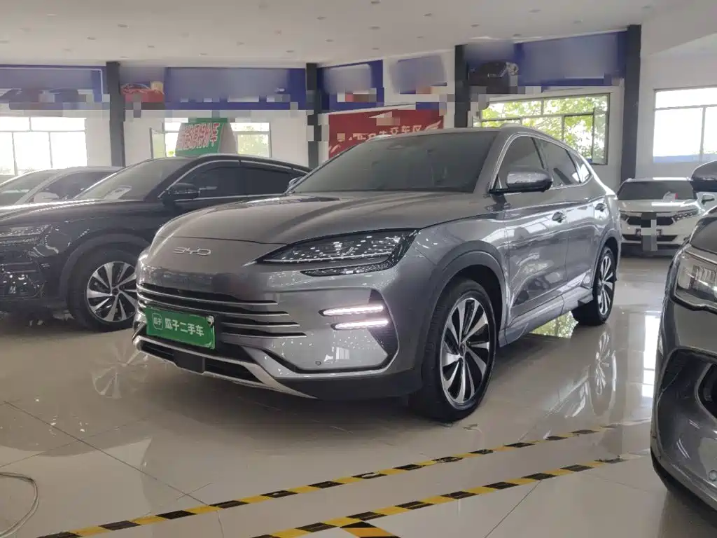 BYD PLUS New Energy — миниатюра 2