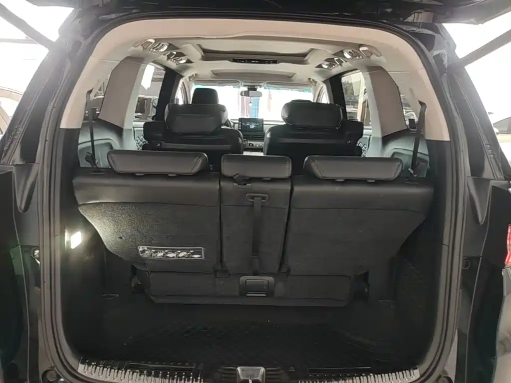 Honda Elysion — миниатюра 19