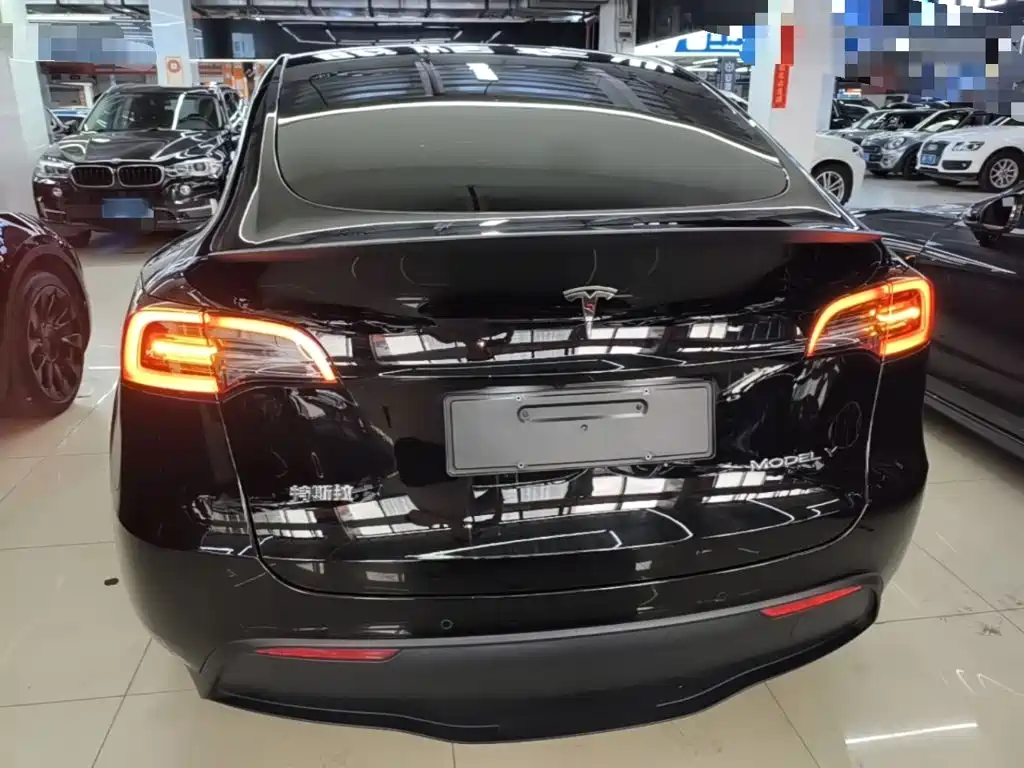Tesla Model Y — миниатюра 6
