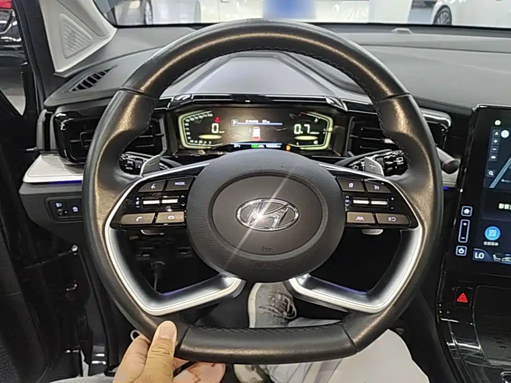 Hyundai Custo — миниатюра 11
