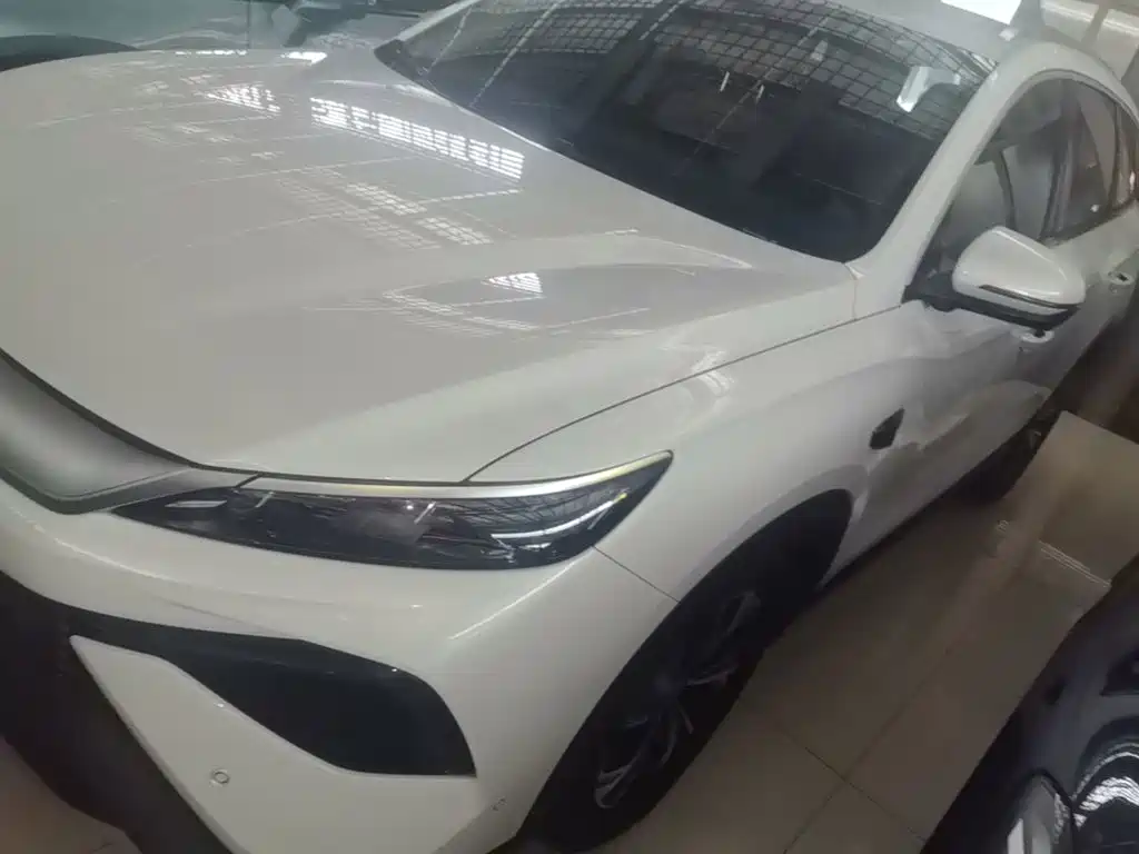 BYD Pro New Energy — миниатюра 2