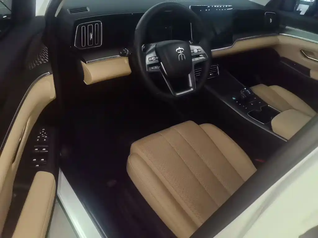 BYD Pro New Energy — миниатюра 15