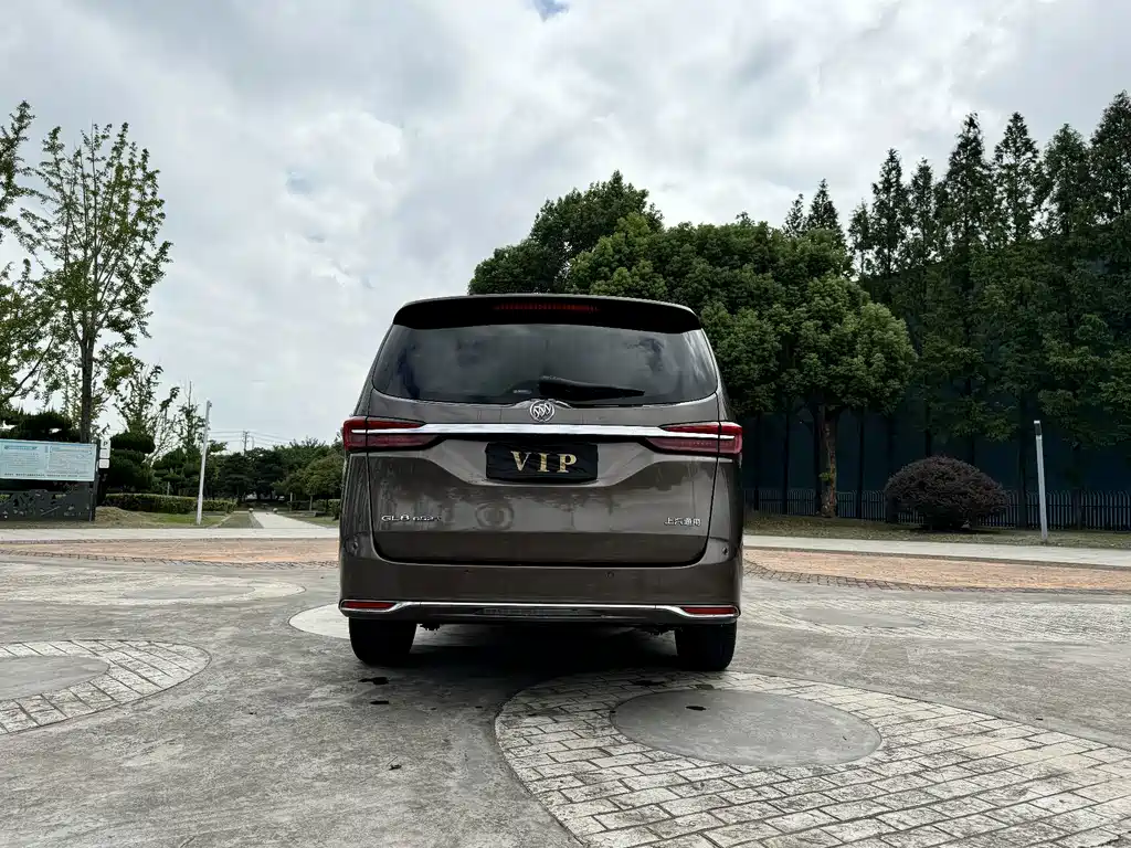 Buick GL8 — миниатюра 8