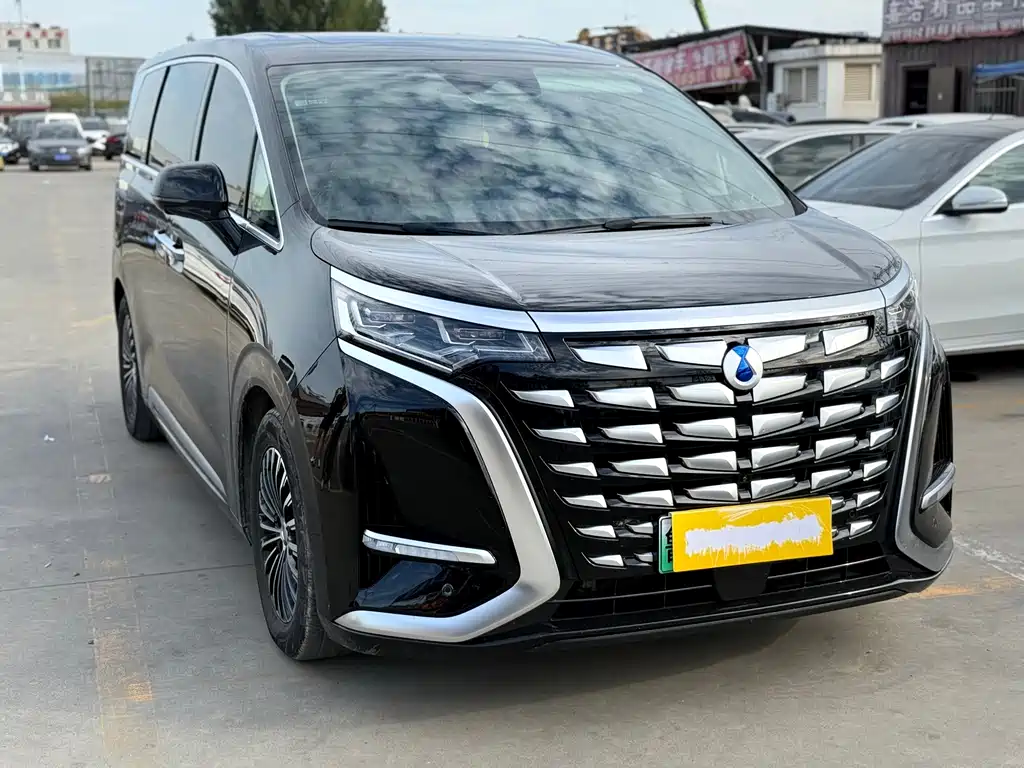 Denza Denza D9 — миниатюра 3