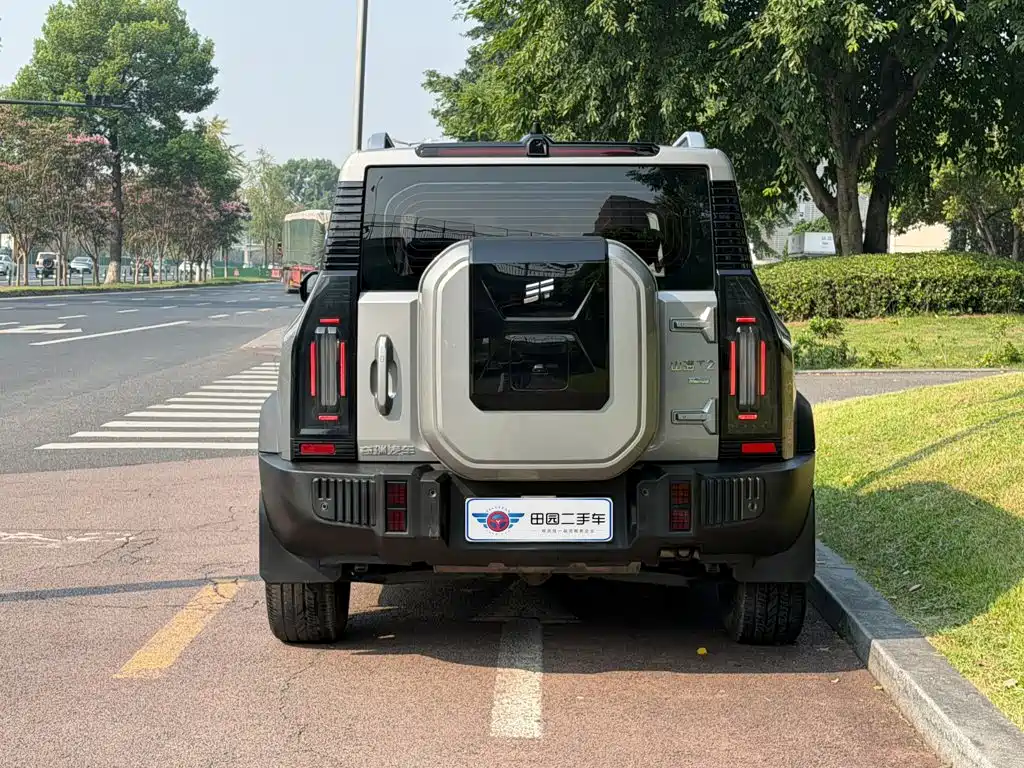 Shanhai Traveller C-DM — миниатюра 5