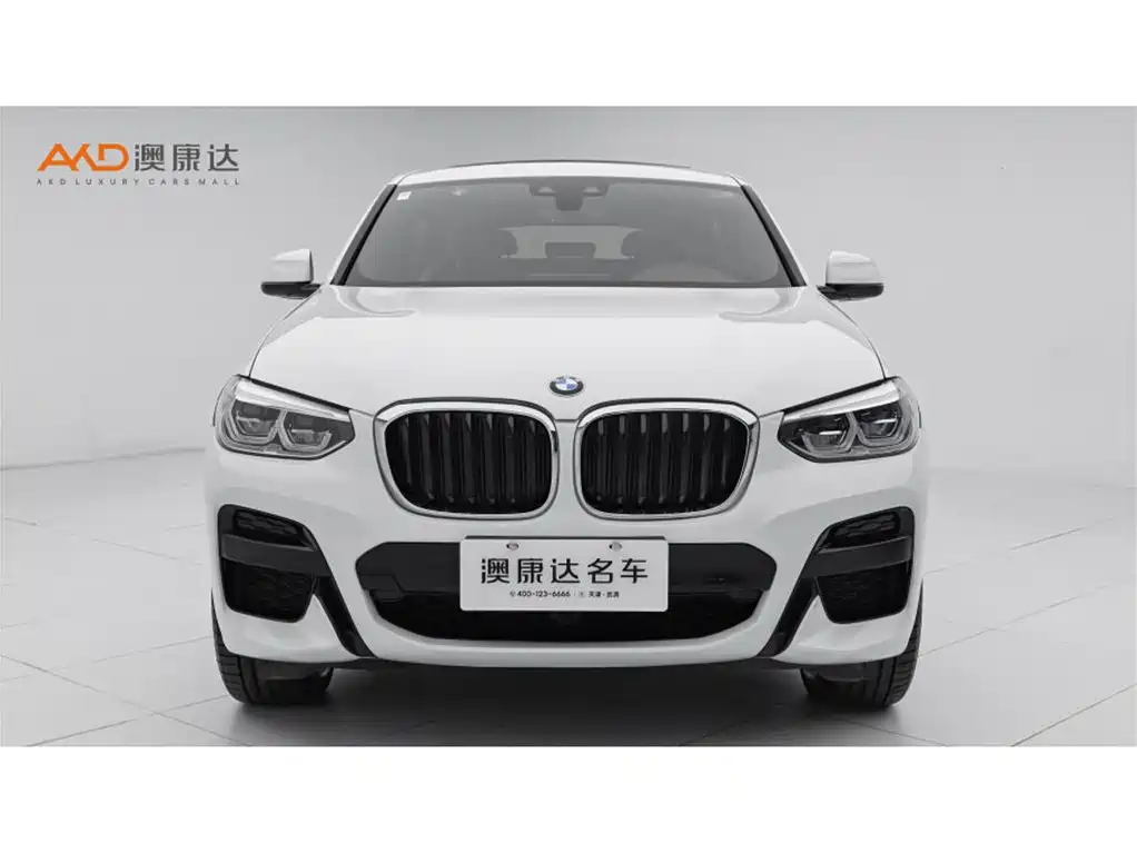 BMW X4 2020 xDrive25i M Sport
