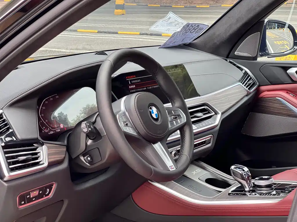 BMW X5 — миниатюра 10