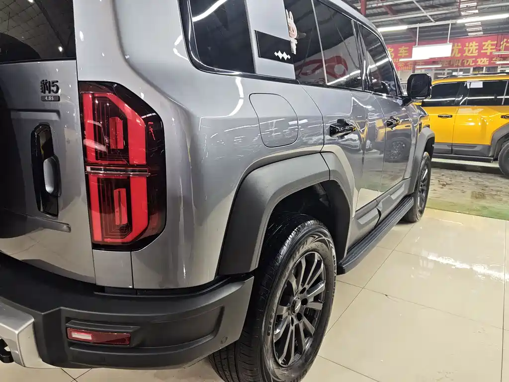 FANG CHENG BAO LEOPARD 5