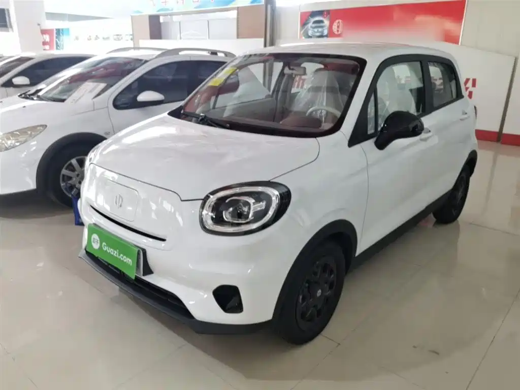 Leapmotor T03 2025 310