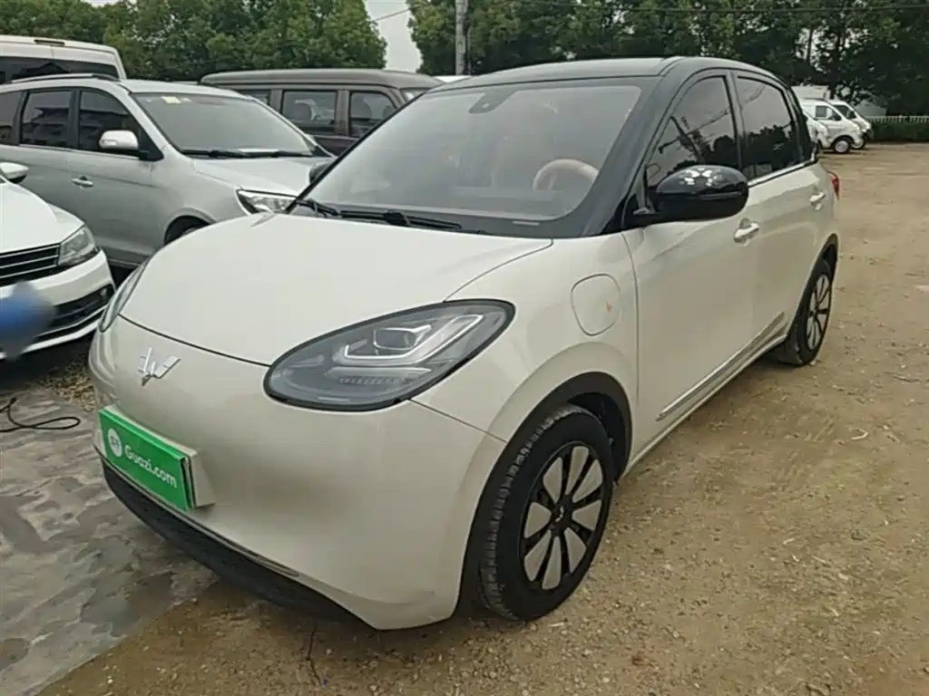 Wuling Binguo 2023 333km Enjoy