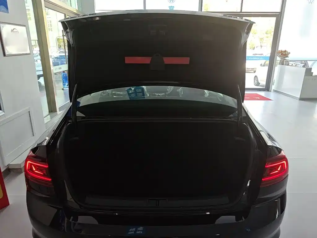Volkswagen Magotan — миниатюра 19