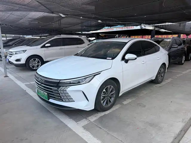 2024 BYD Destroyer