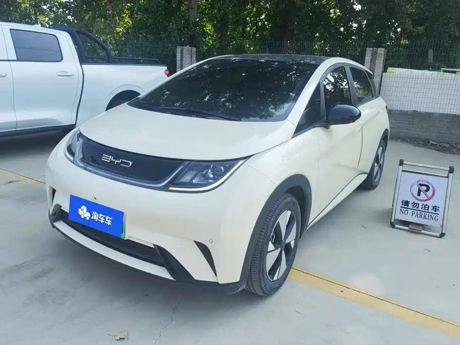 2023 BYD Dolphin - zdjęcie 1 z 16