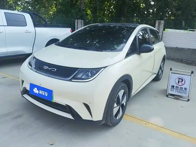 2023 BYD Dolphin