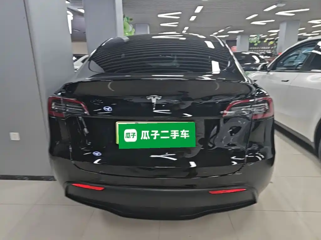 Tesla Model Y — миниатюра 6