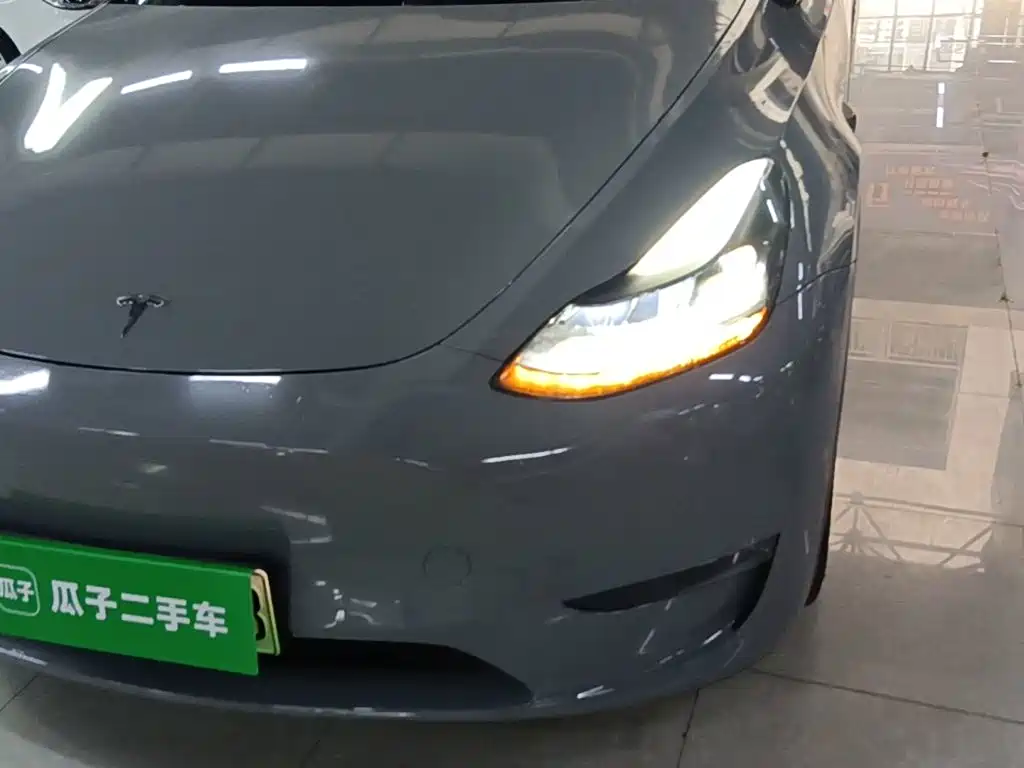 Tesla Model Y — миниатюра 24