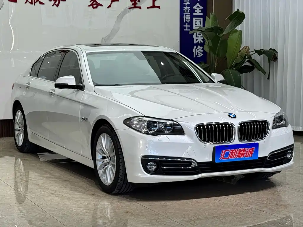 BMW 5 Series — миниатюра 3