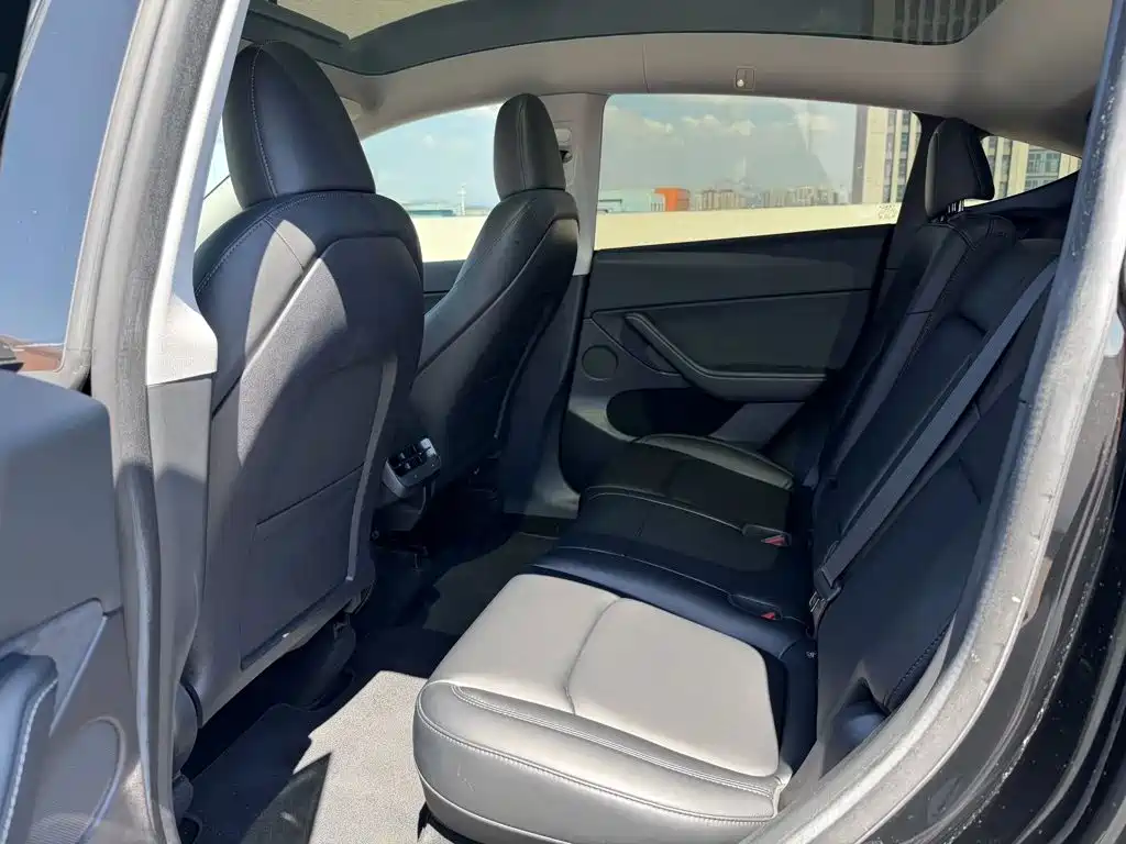 Tesla Model Y — миниатюра 7