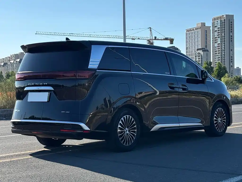 Denza Denza D9 — миниатюра 12
