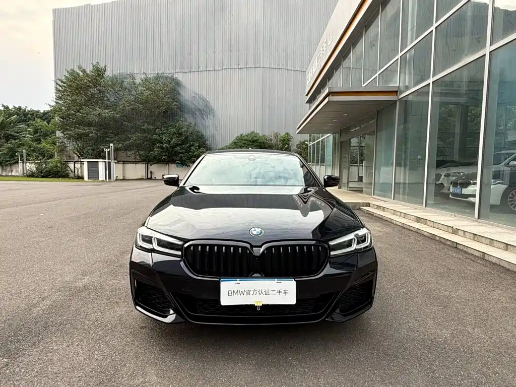 BMW 5 Series — миниатюра 2