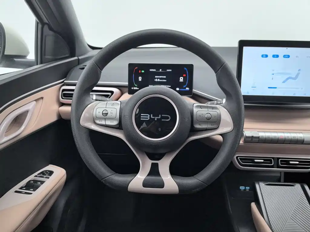 BYD Seagull — миниатюра 11