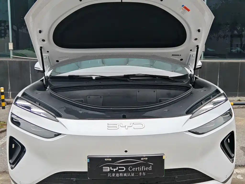 BYD SEA LION 06 NEW ENERGY