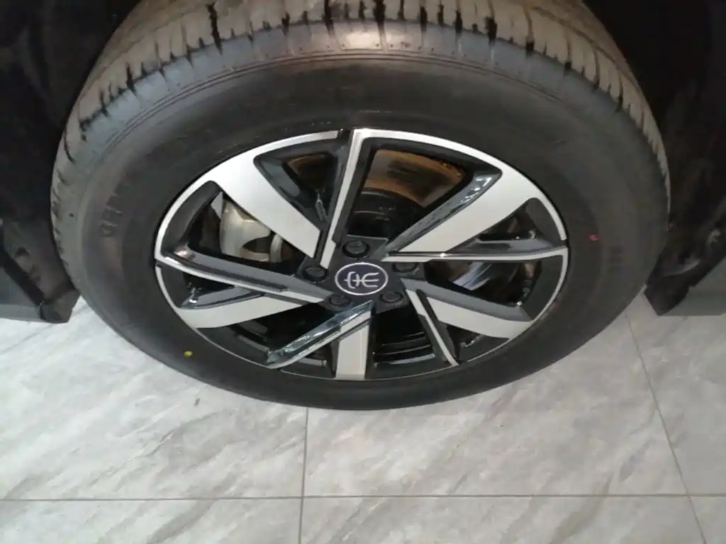 BYD Pro New Energy — миниатюра 23