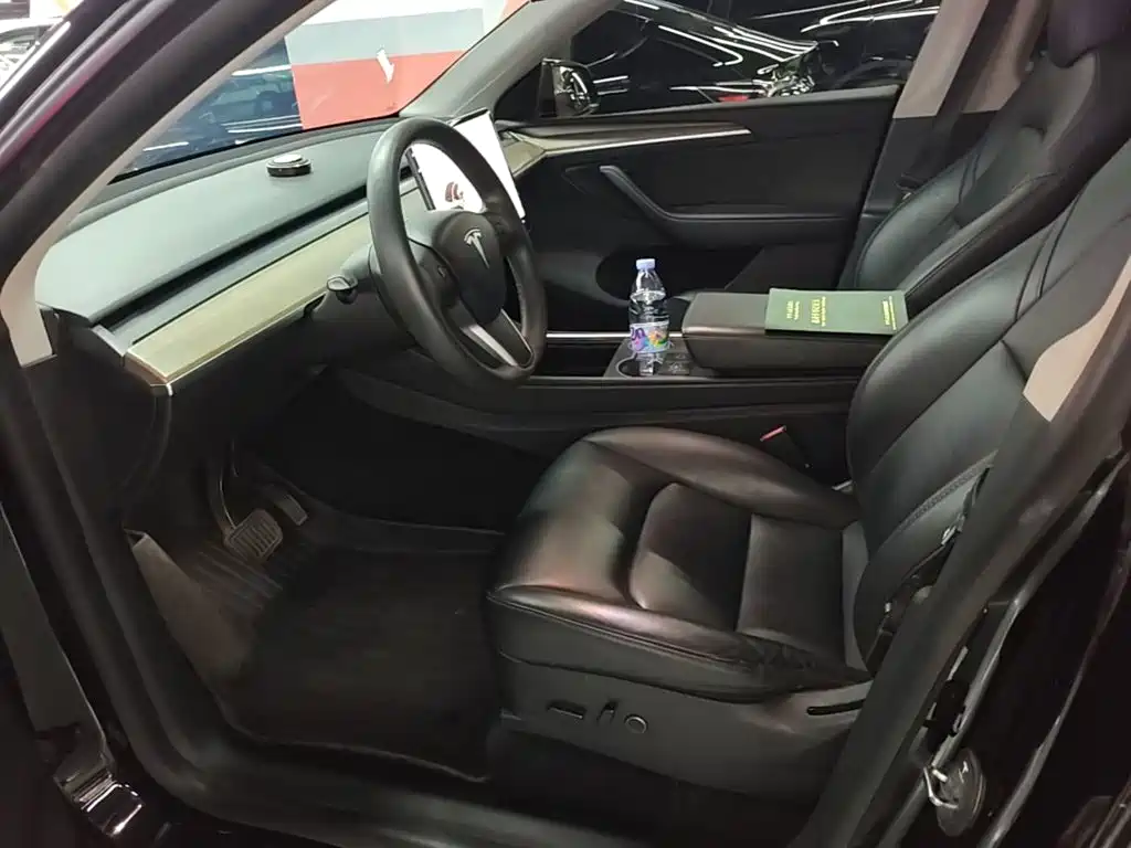 Tesla Model Y — миниатюра 15