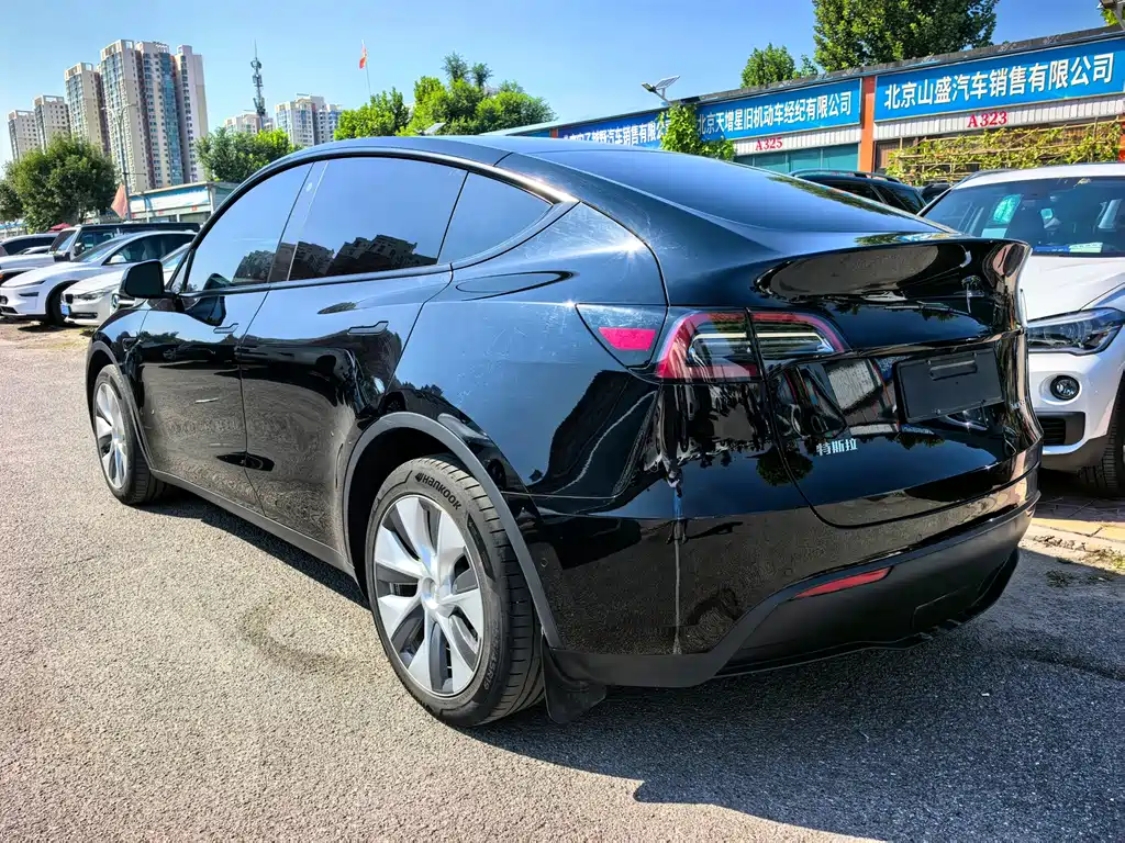 Tesla Model Y — миниатюра 9